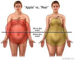 Fat Distribution May Influence Cognitive Function in Women